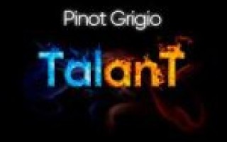 TalanT — Pinot Grigio  — текст песни (слова), lyrics