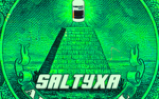 SALTYXA — The Dark Light  — текст песни (слова), lyrics
