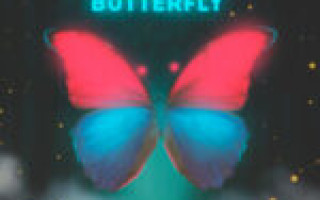 NzT & Денис Океан — Butterfly  — текст песни (слова), lyrics