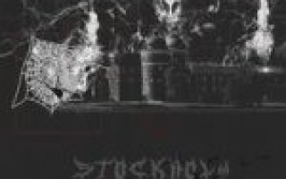 shadowraze & Shinra — stockholm  — текст песни (слова), lyrics