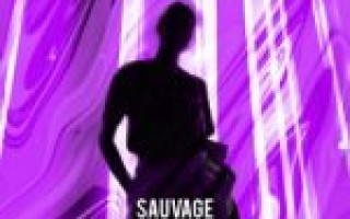 GAZIROVKA & MØRFI — Sauvage  — текст песни (слова), lyrics