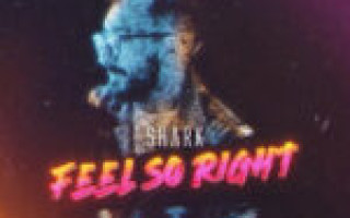 SHARK — FEEL SO RIGHT  — текст песни (слова), lyrics