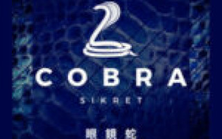 SIKRET — Cobra  — текст песни (слова), lyrics
