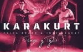 Zvika Brand & INtellegent — Karakurt (Банда у руля)  — текст песни (слова), lyrics